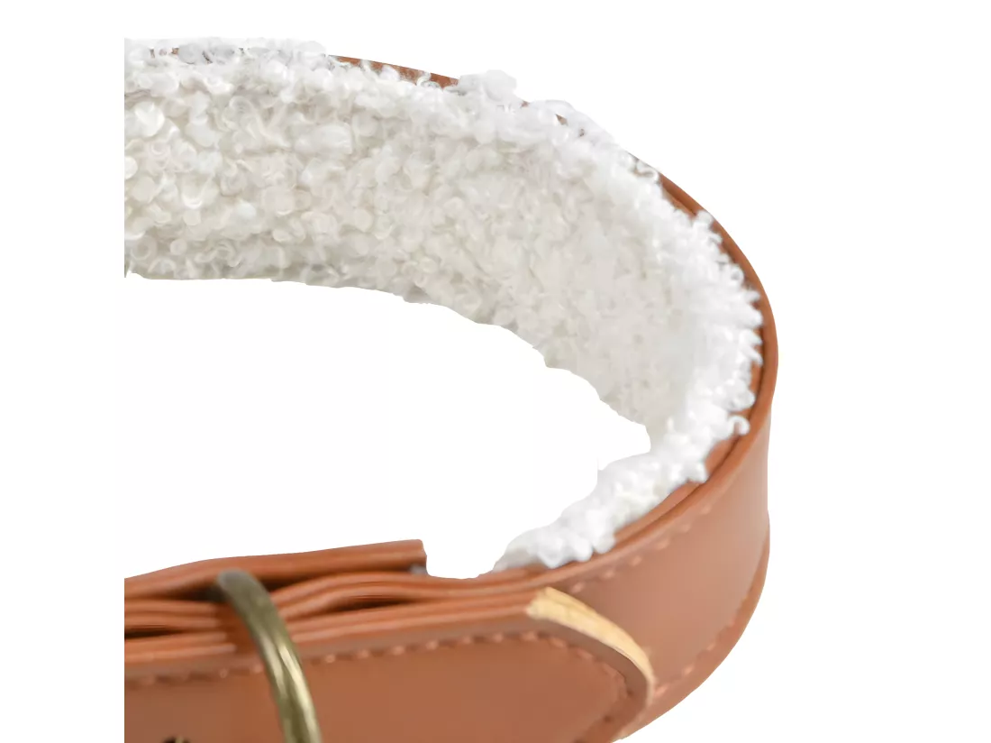 Collier pour Chien 