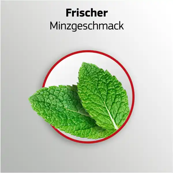 Premium Haftcreme Plus Barriere gegen Speisereste - frisch