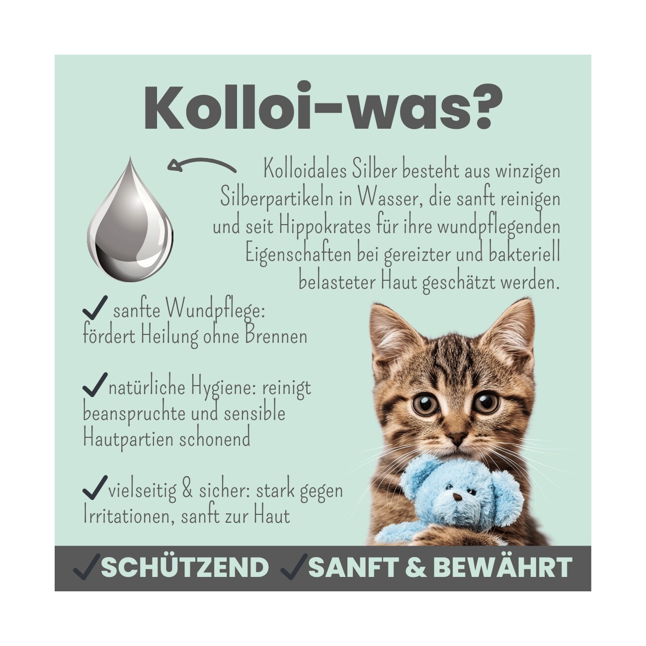 noms+ Silberspray für Hunde & Katzen 50ppm | Wundpflege & Wundspray für Hunde & Katzen | Pflegespray | kolloidales Silber Spray bei Hot Spot | Hund Silberspray zur Wundheilung & Hautpflege
