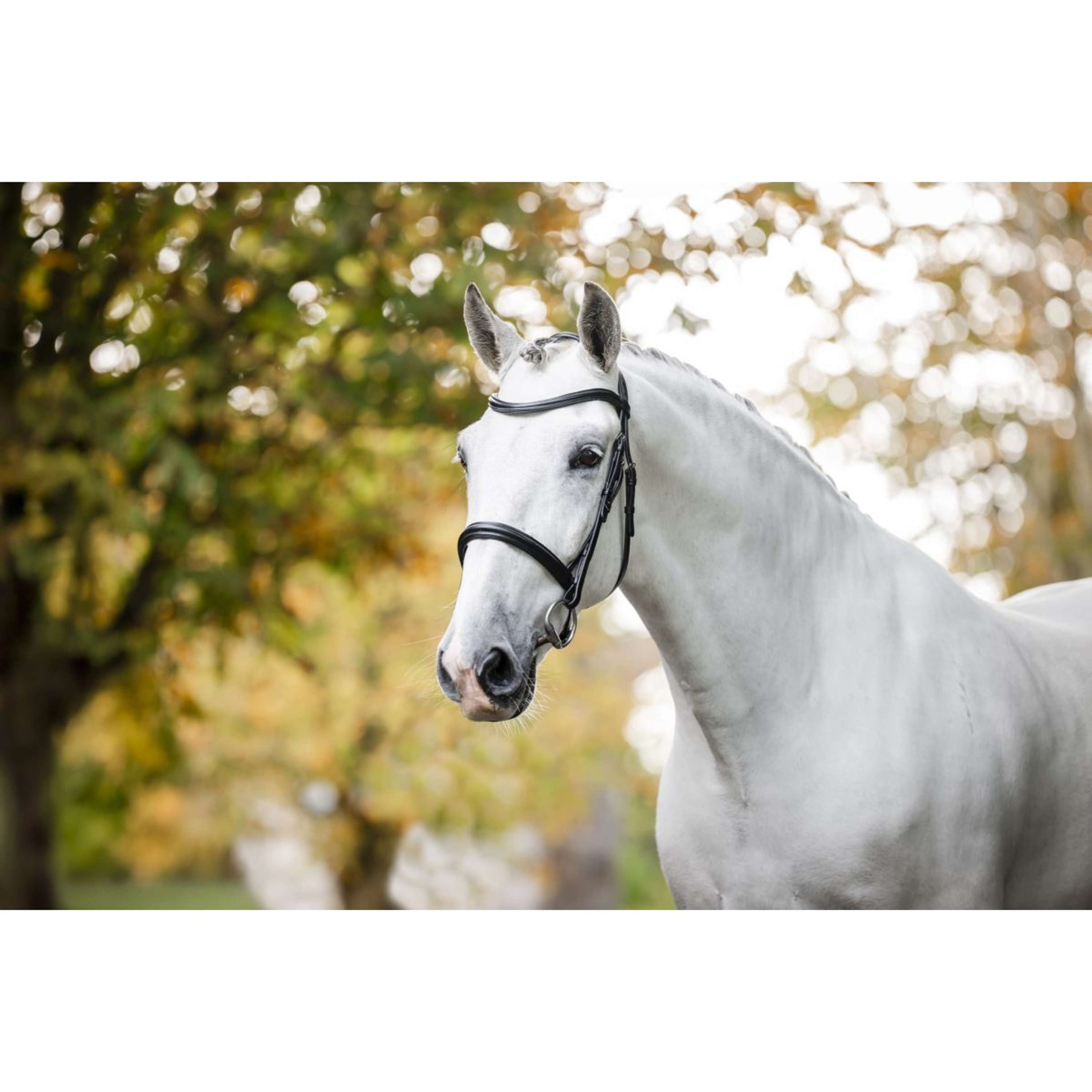 Horseware Hoofdstel Cavesson Zwart