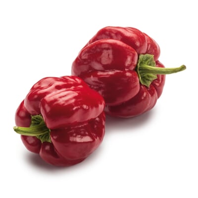 Gemüsesamen Besondere Chilis und Paprika