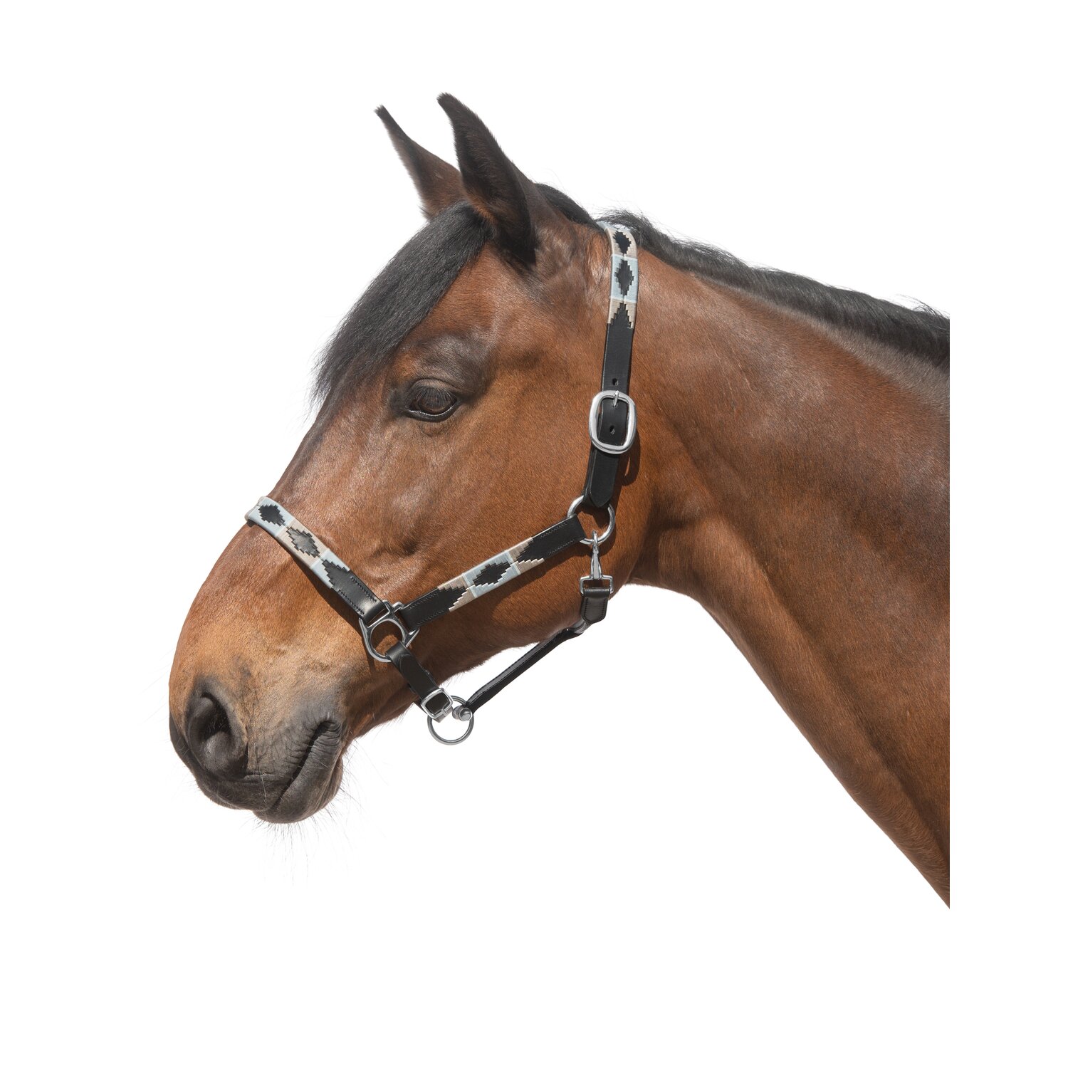 black forest Lederhalfter Canterbury  - black/grey