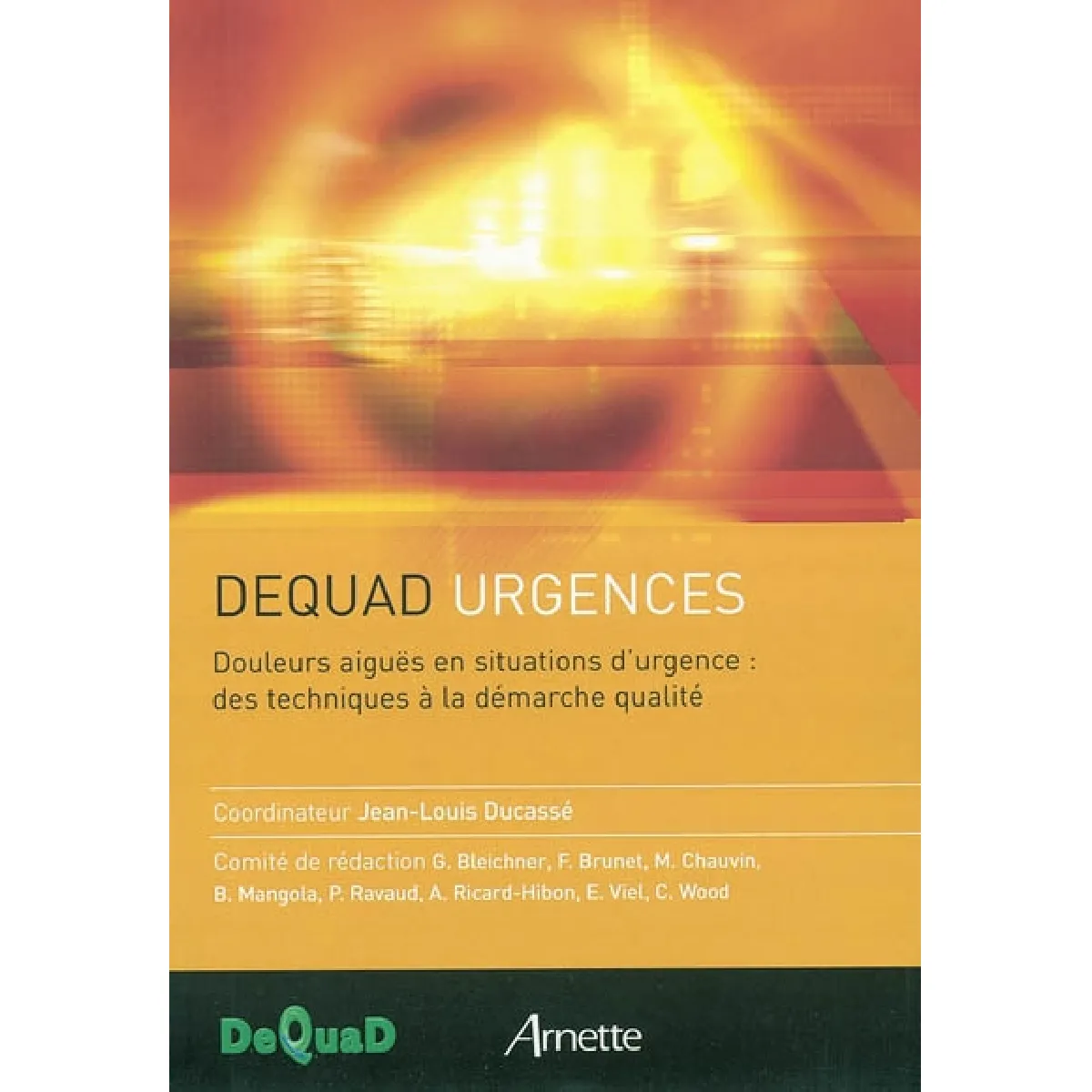 Douleurs aiguës en situations d'urgence : des techniques à la démarche qualité · Occasion