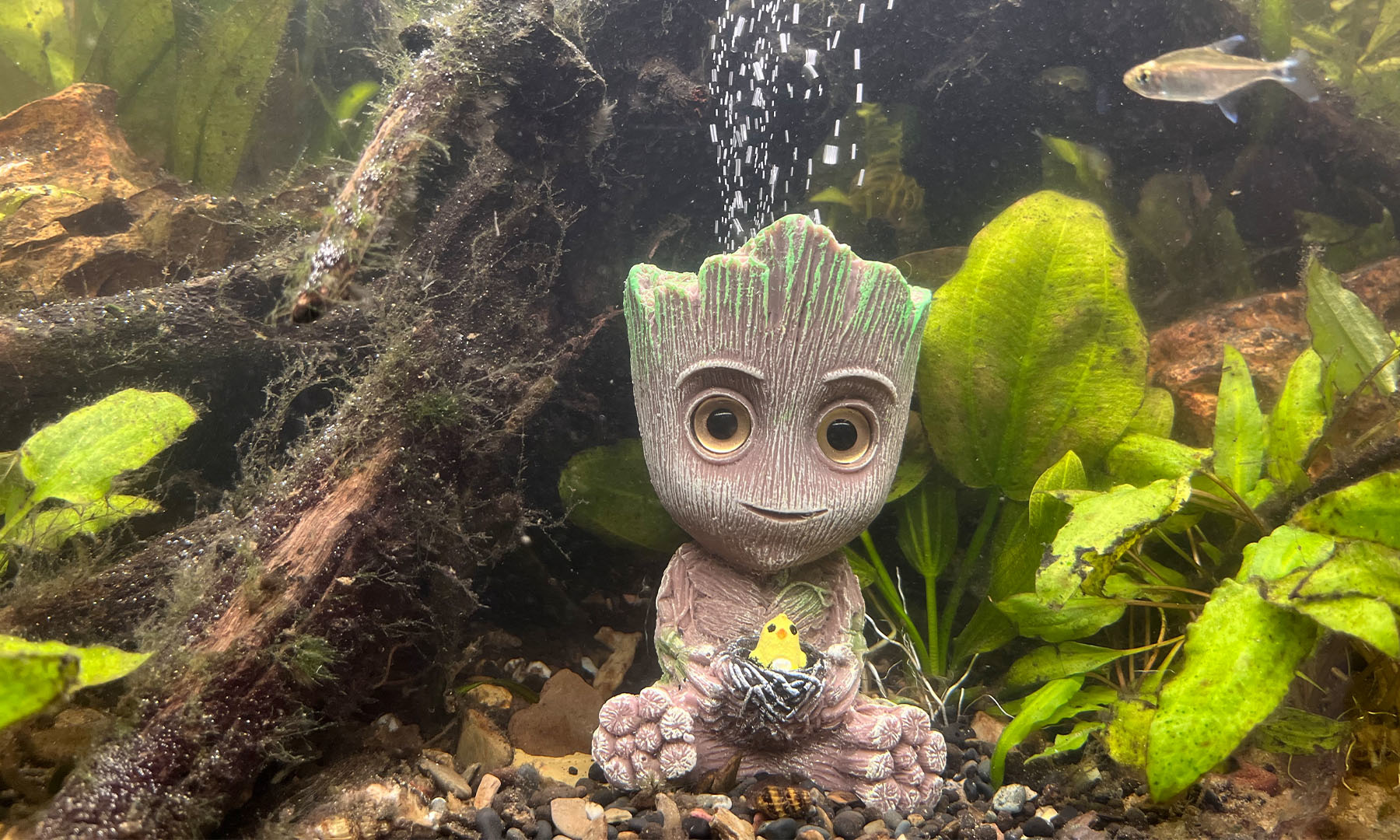 AquastoreXL Baby boom monster Ornament Met Luchtsteen