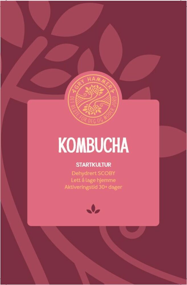 Kombucha Startkultur
