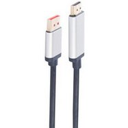 PROFESSIONAL Câble DisplayPort HDMI-A, 2,0 m