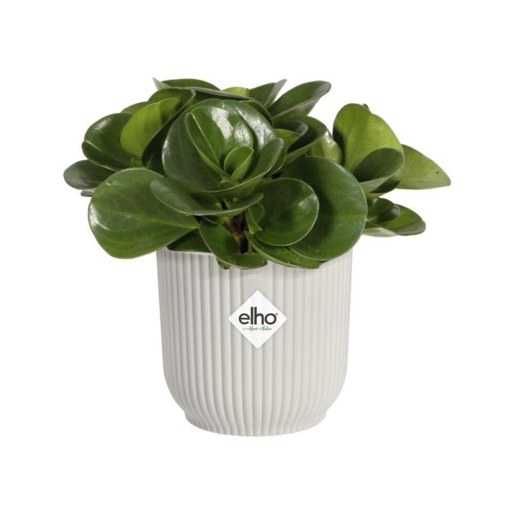 INNEPOTTE ELHO VIBES FOLD ROUND Ø30CM HVIT