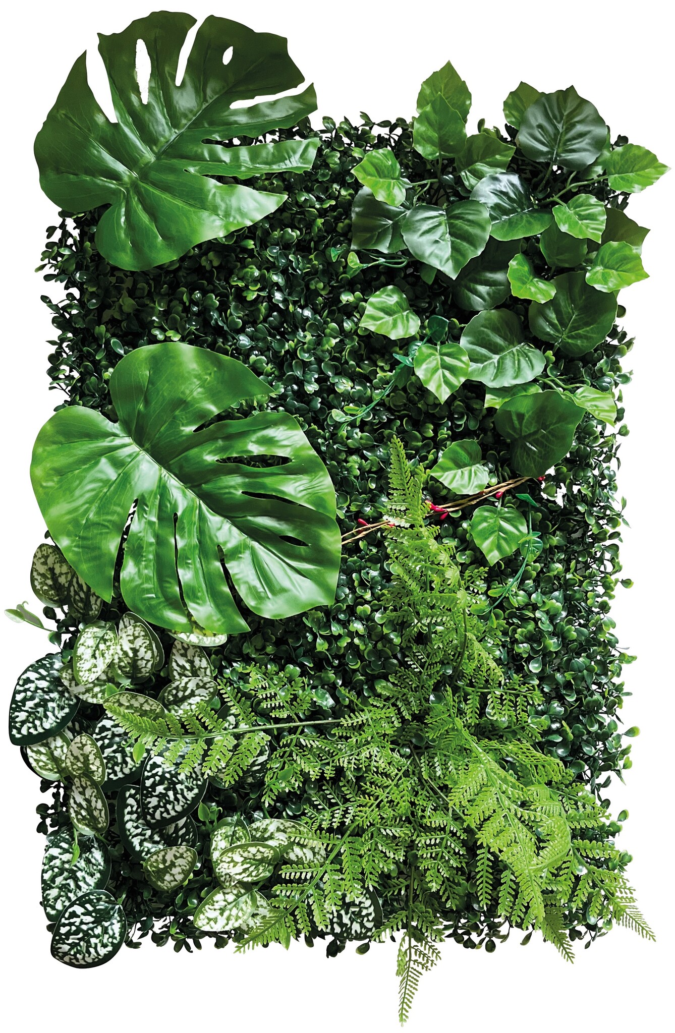 Repto Terrarium Achterwand Planten Mat 2 40x60cm