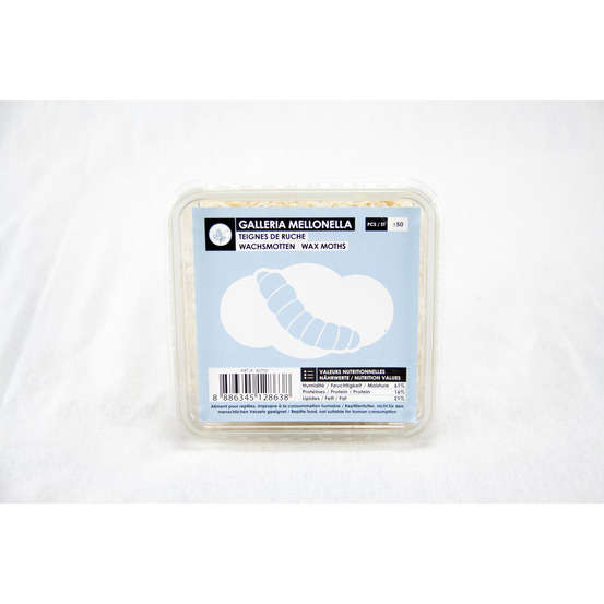 Teignes de ruche pour alimentation reptiles, 50 pièces