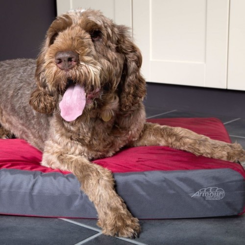 Colchão ortopédico vermelho para cães