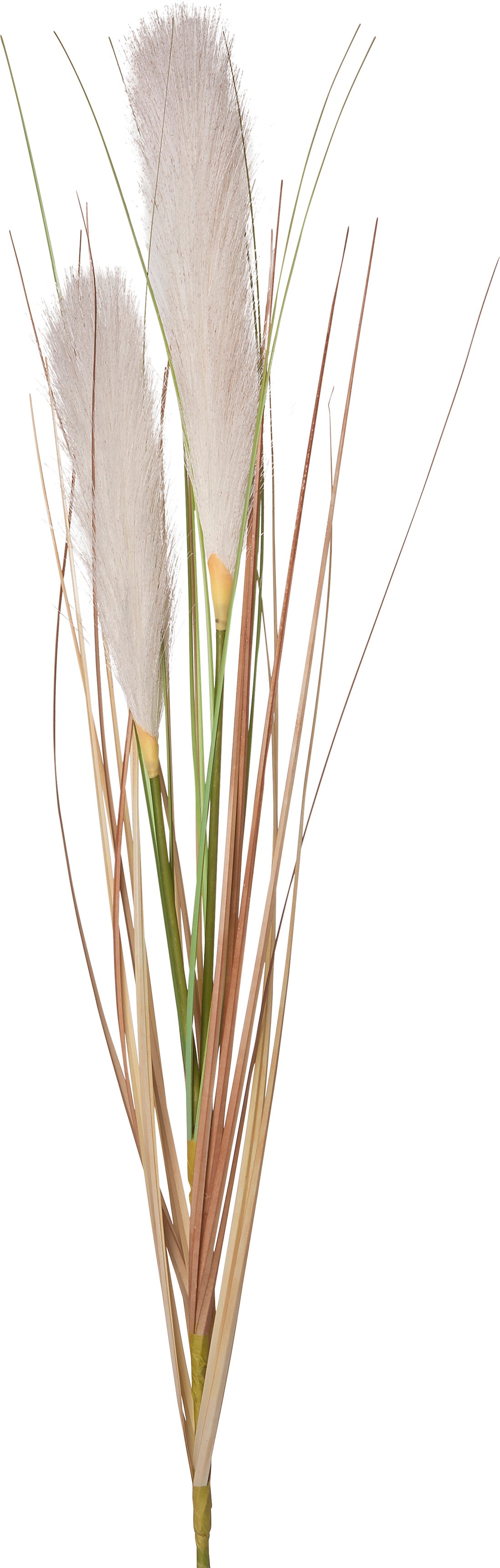 Intratuin kunstbloem Siergras crème 20 cm