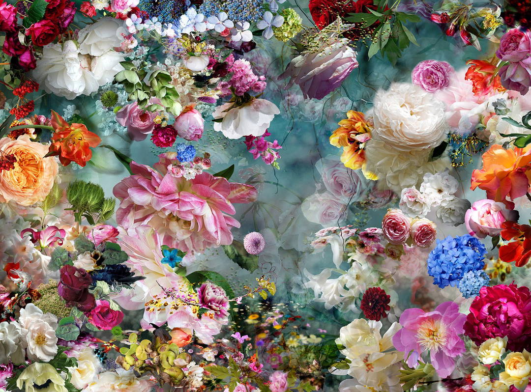 The Tender Land 2 by Isabelle Menin - Petites - Small Open Edition.