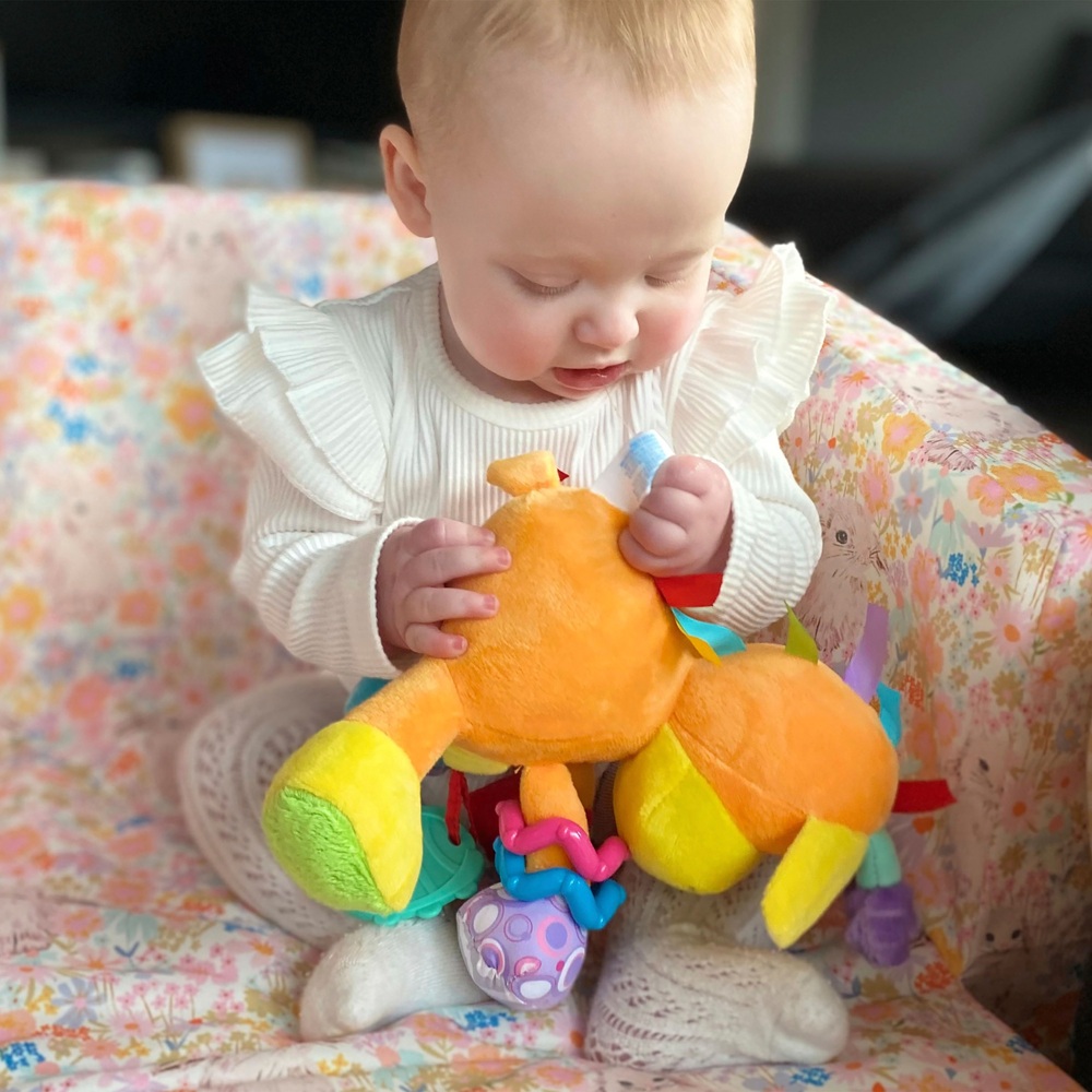 Playgro Discovery Friend Giraffe Spielzeug