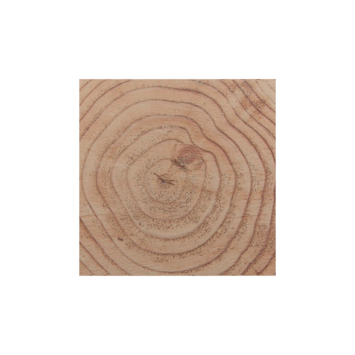 Tuinpaal vierkant Douglas ca. 12 x 12 cm, lengte ca. 250 cm
