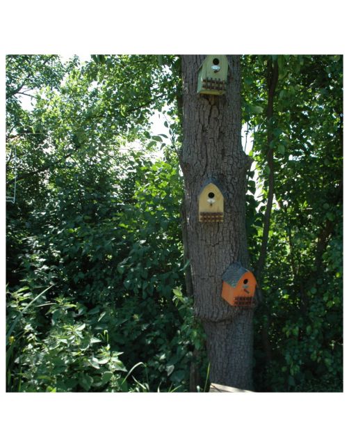 Best For Birds Nestkast Huisje - Broeden - Assorti