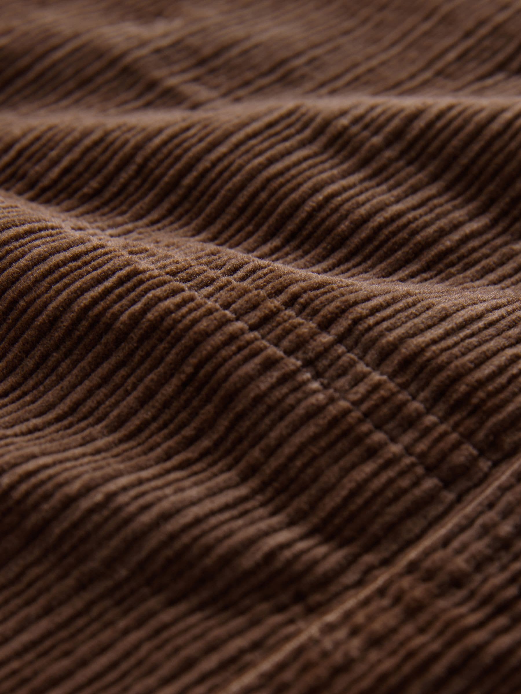 Bruin - Washed Cord Shorts