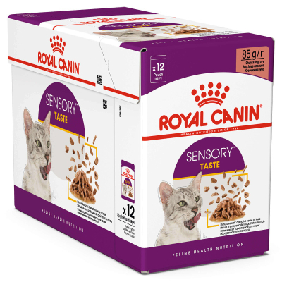 Royal Canin Katze FHN Sensory Taste in Sauce