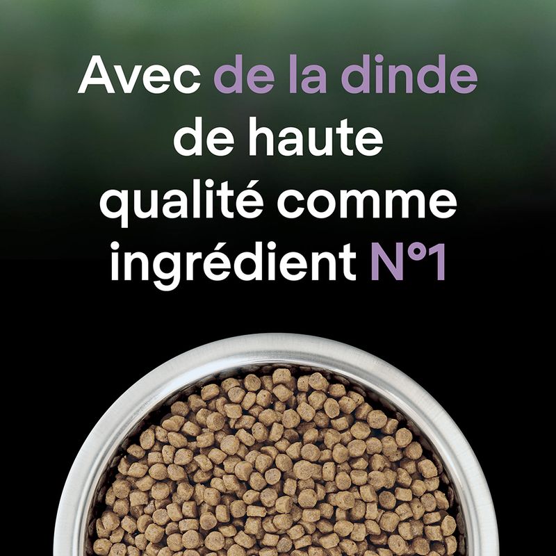 PURINA PRO PLAN LiveClear Kitten dinde