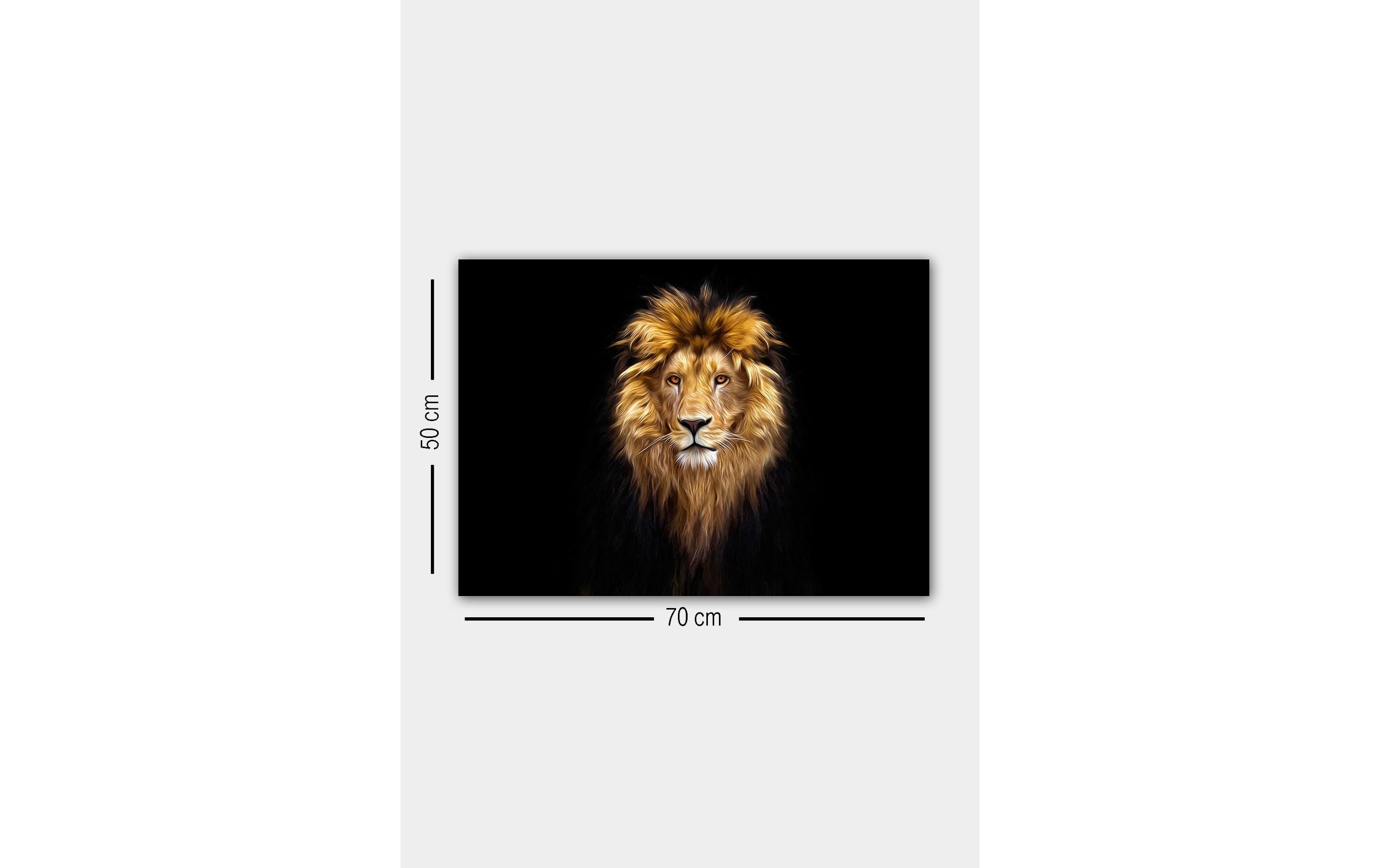 Bild Lion 50 x 70 cmDekorative Leinwandmalerei