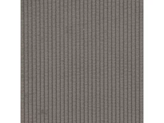 Canapé-chaise accoudoirs gris clair 54 cm tissu velours c?telé