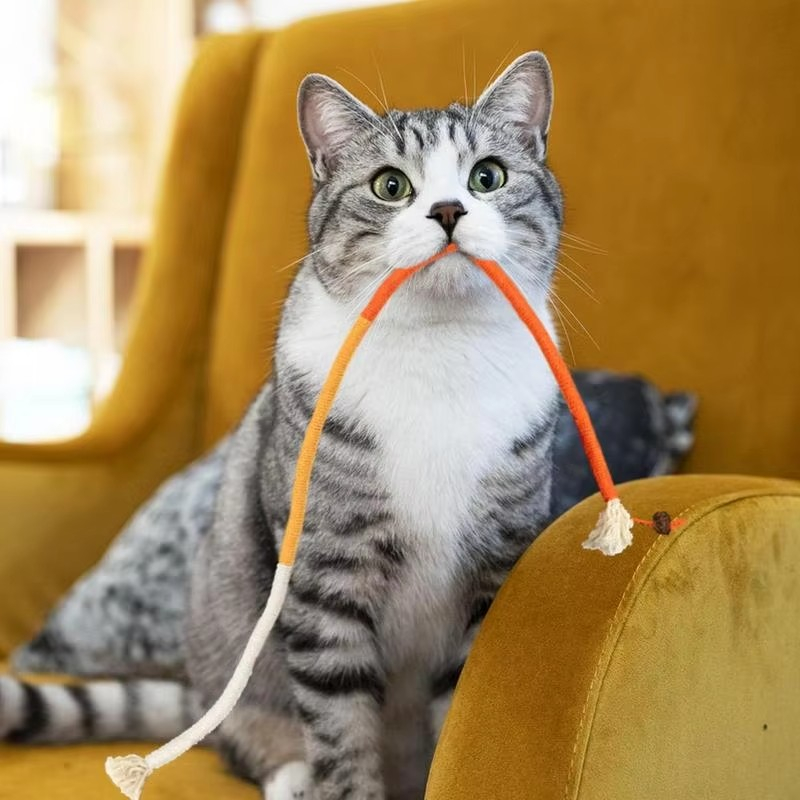 (72cm) Interaktives Baumwollseil Catnip Katzen Spielzeug Zahn Reinigungs Seil mit Minze - Weiss / Gelb / Orange
