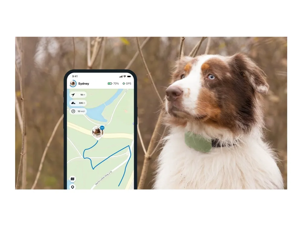 Tractive GPS DOG XL - Green - Abonnement i app