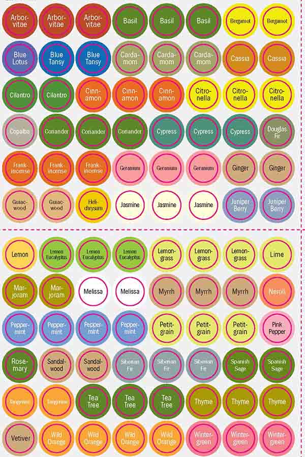 Autocollants pour bouchons d'huiles essentielles simples (anglais)