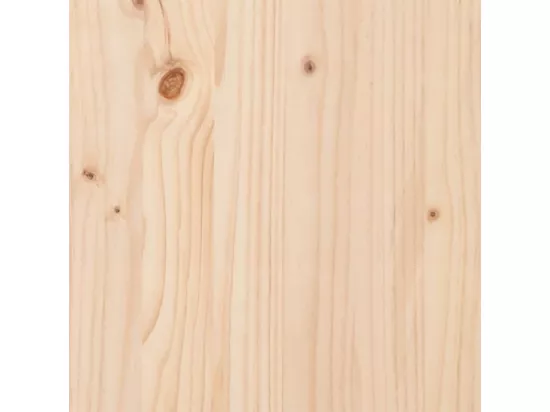 Aire de jeux d'extérieur bois de pin massif