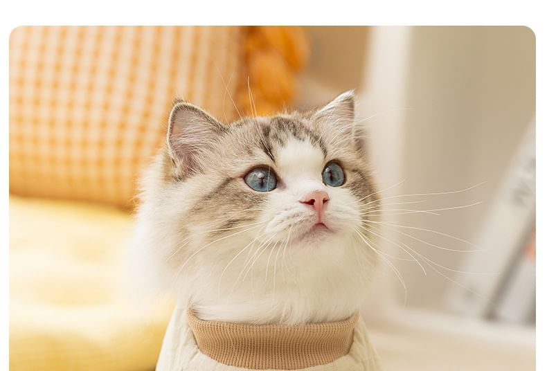 Cissilli - Bear Checker Pet Top