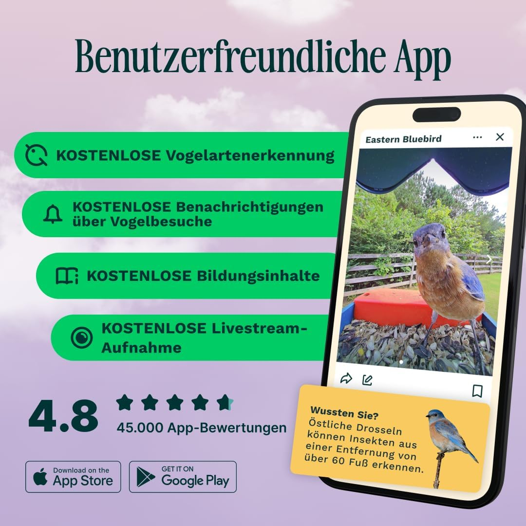 Bird Feeder PRO Solar Vogel Haus Vogelfutterspender Smarte Outdoor Wildvogel Futterstation mit 2K Kamera IP67 (BBG1003BAD)