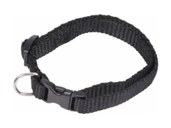 Collier Réglable pour Chien 
