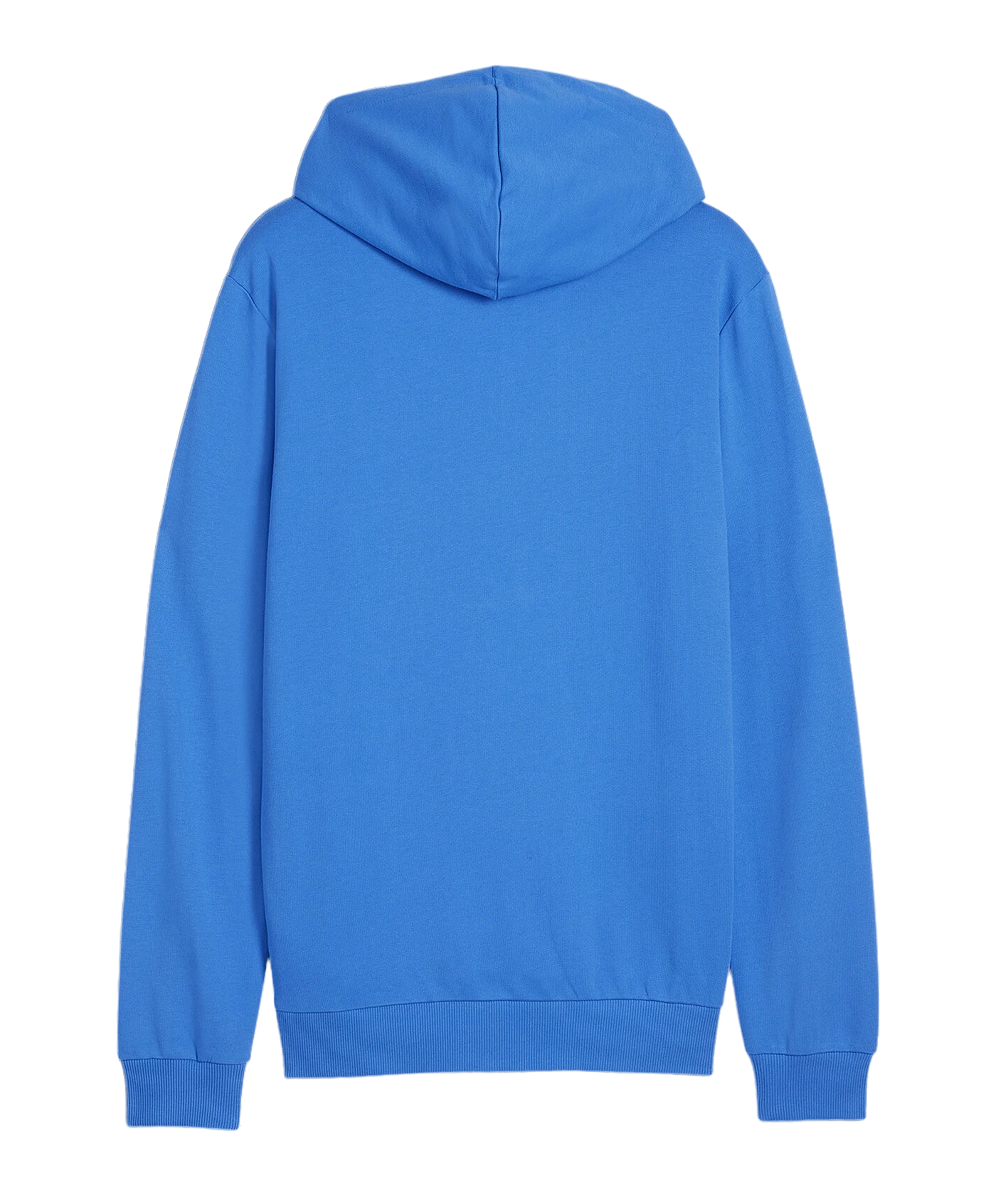 PUMA teamGOAL Casuals Hoody Blau F02