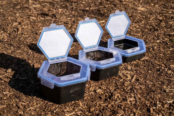 Boîte à Appâts Zebco Secure-Lock Bait Box
