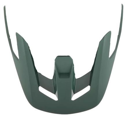 Visière de Rechange Fox Speedframe Pro Blkd Vert