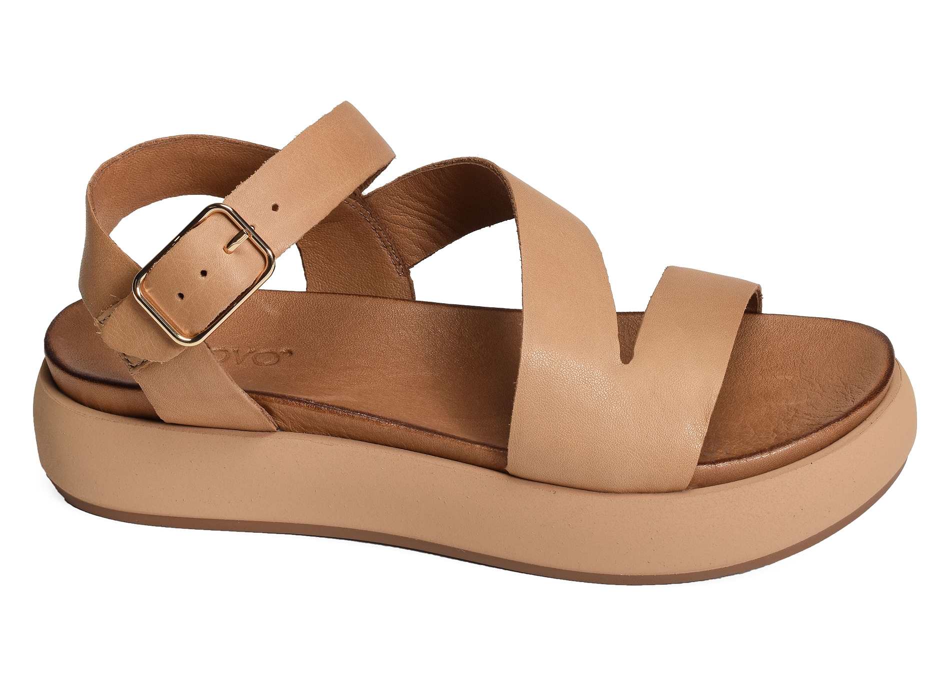 A96001 camel