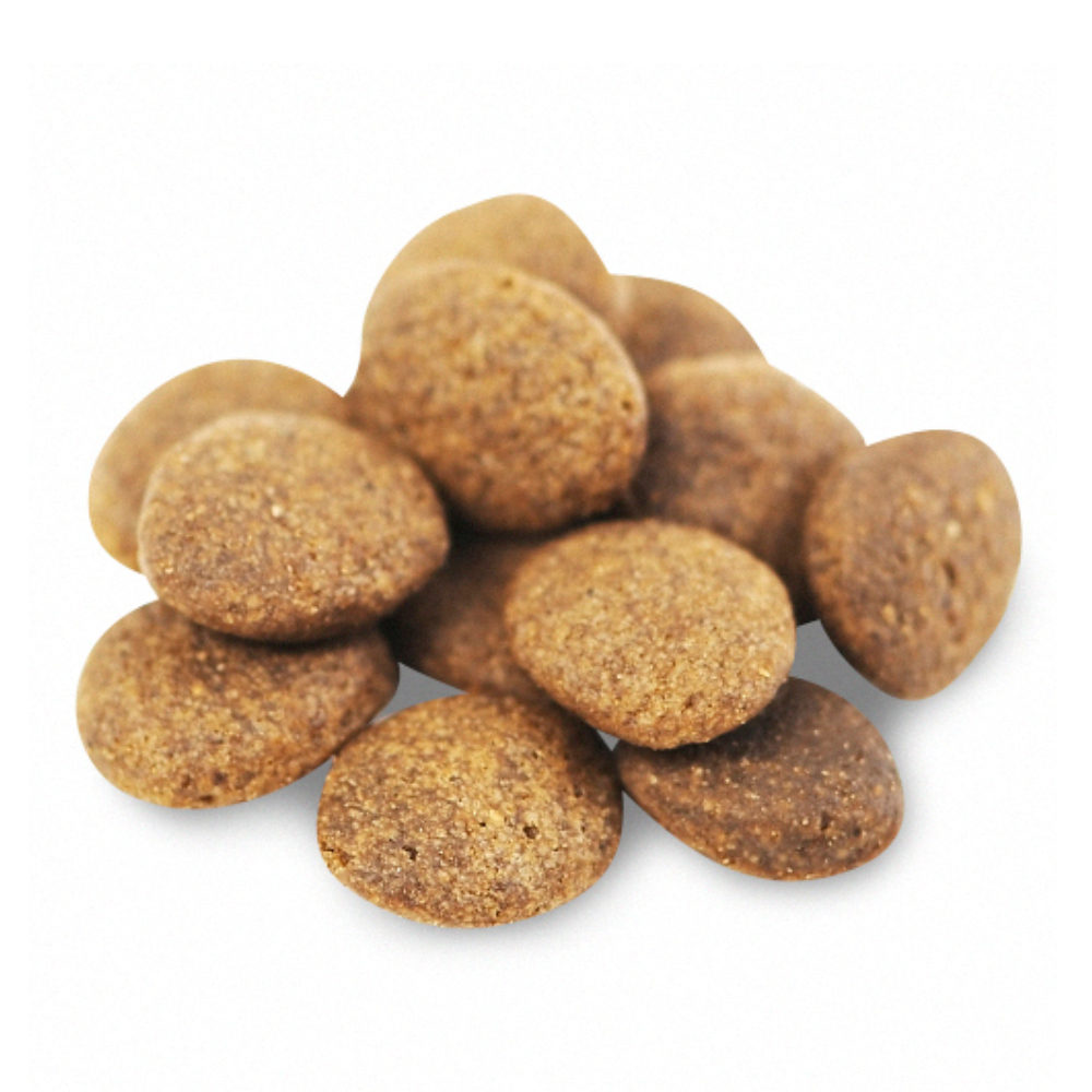 Fish4Dogs Finest Adult Complete - Witvis Grote Brok