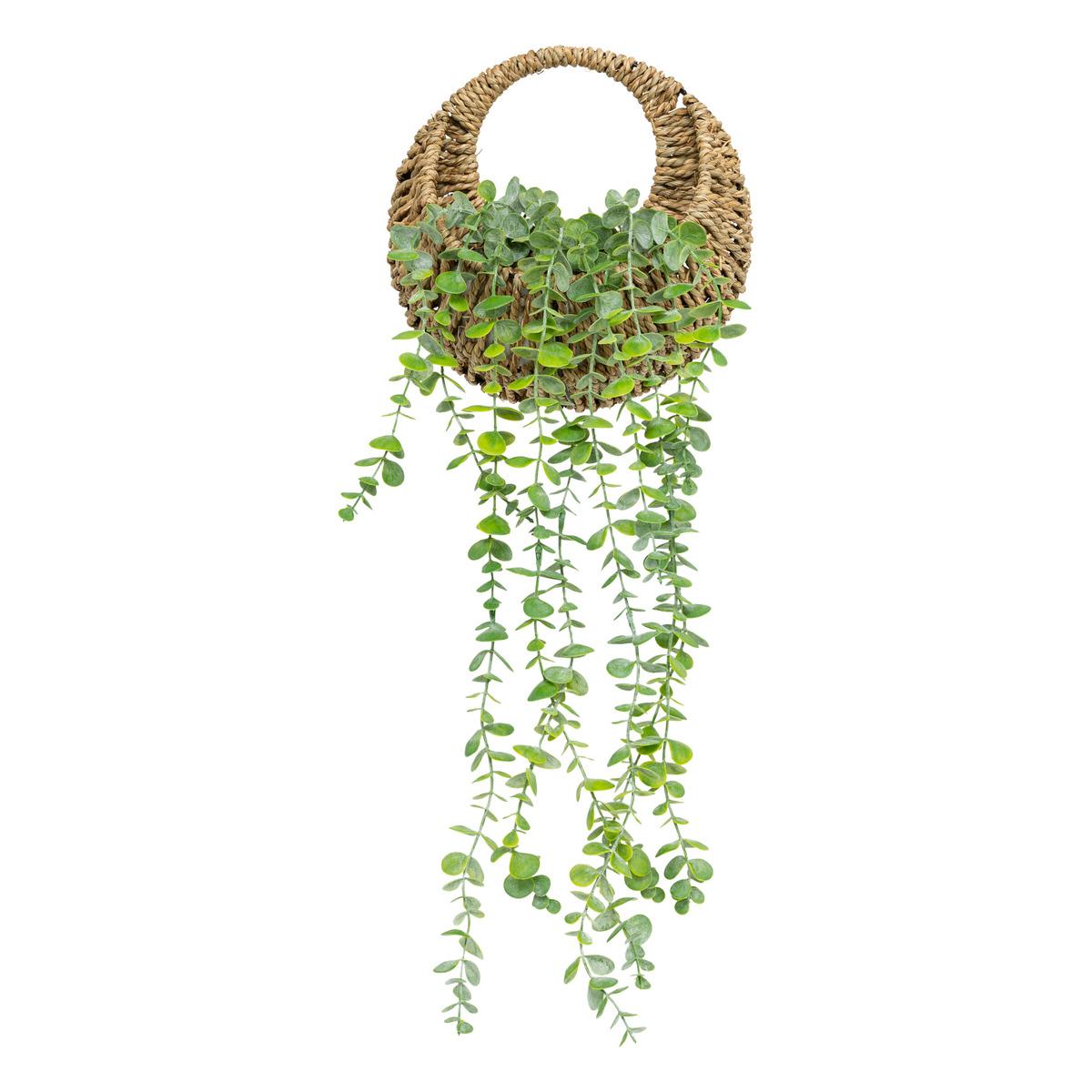 EUCALYPTUS A SUSPENDRE ZEA POT NATUREL H.70CM