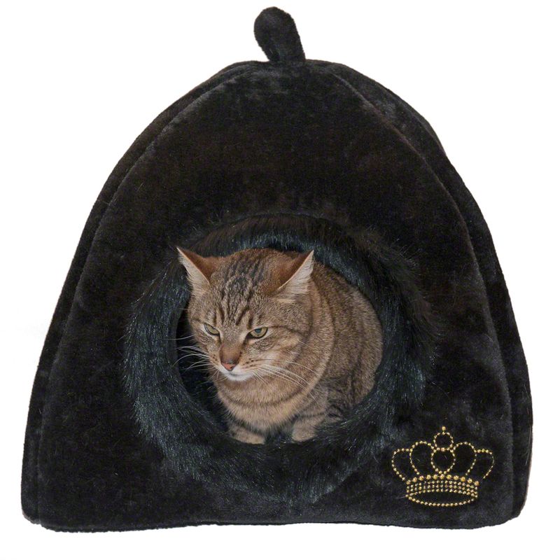 Niche Royal Pet Black