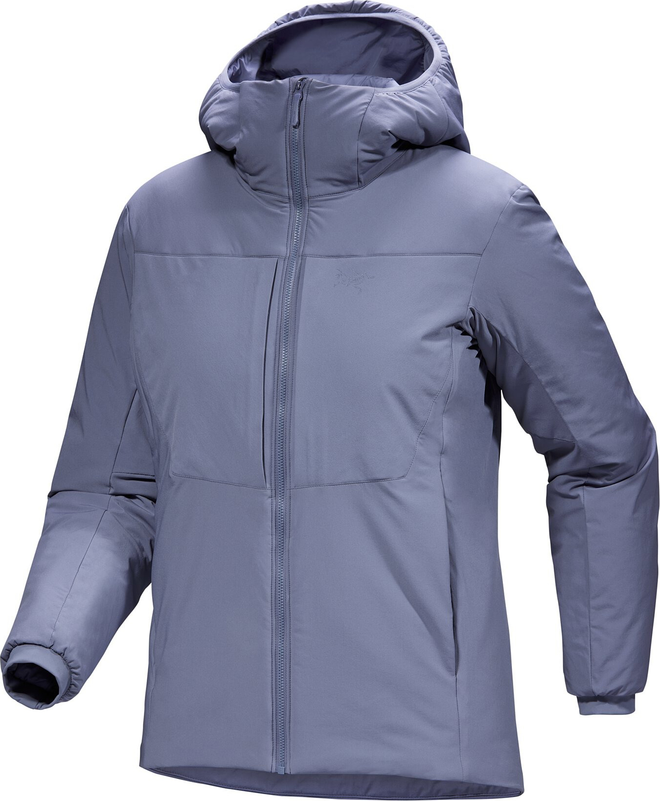 Proton Heavyweight Hoody Dame Stratus