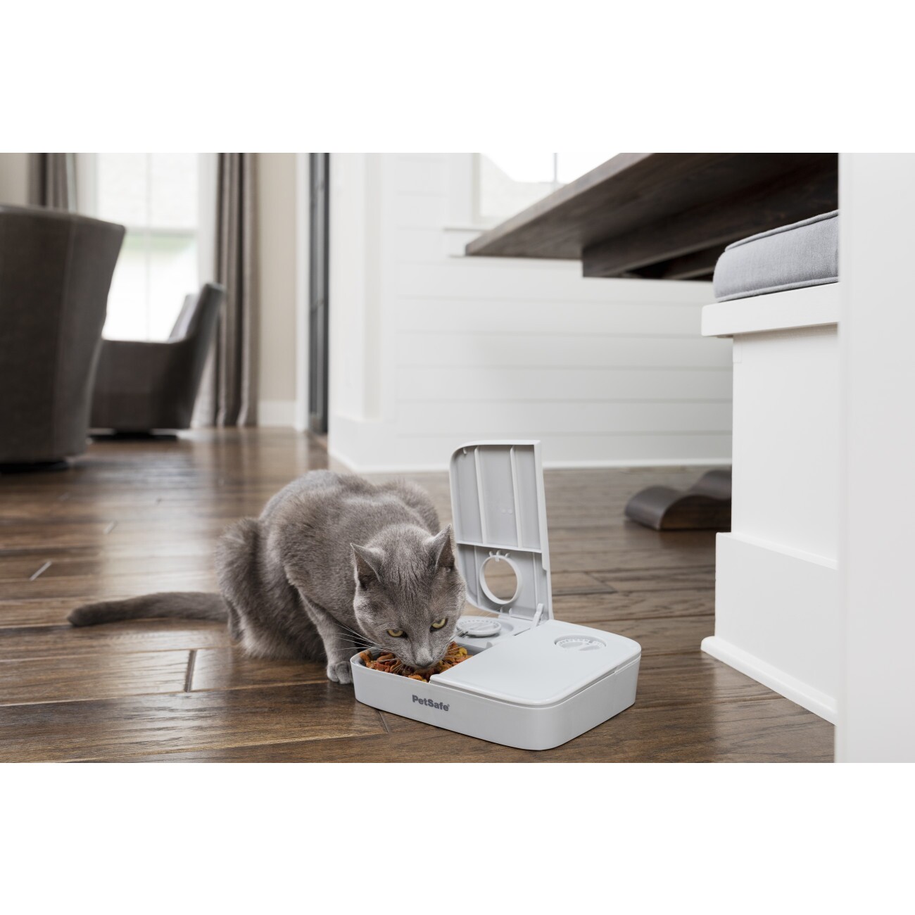 PetSafe Futterautomat für 2 Mahlzeiten