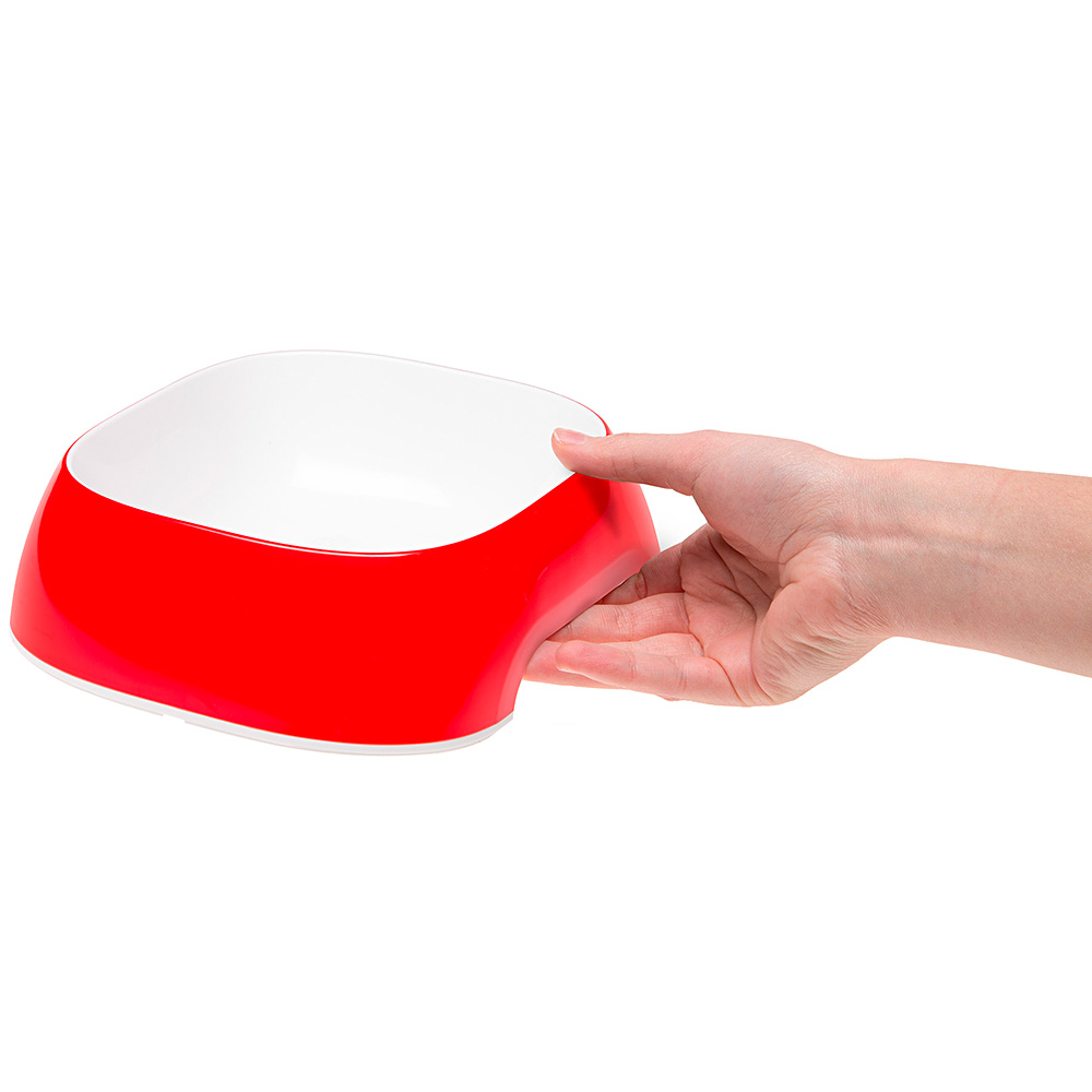 Écuelle glam large plastique chiens chats différentes mesures couleurs mode pratique