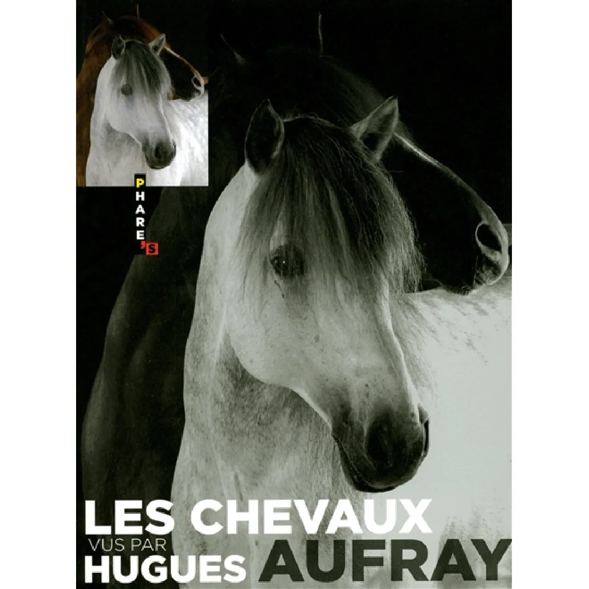 Les chevaux vus par Hugues Aufray · Occasion