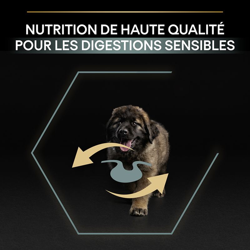 PURINA PRO PLAN Large Robust Puppy Sensitive Digestion agneau