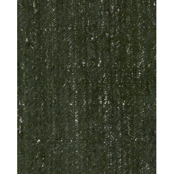 Haag Canada groen 100 x 300 cm