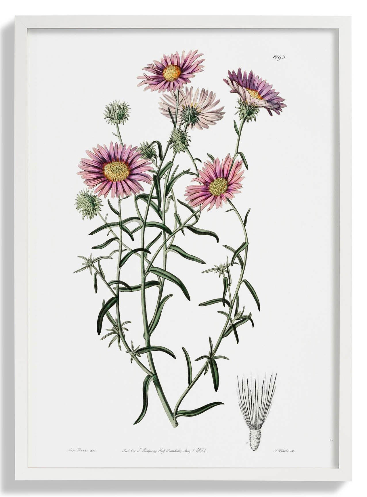 Vintage Graue Blume