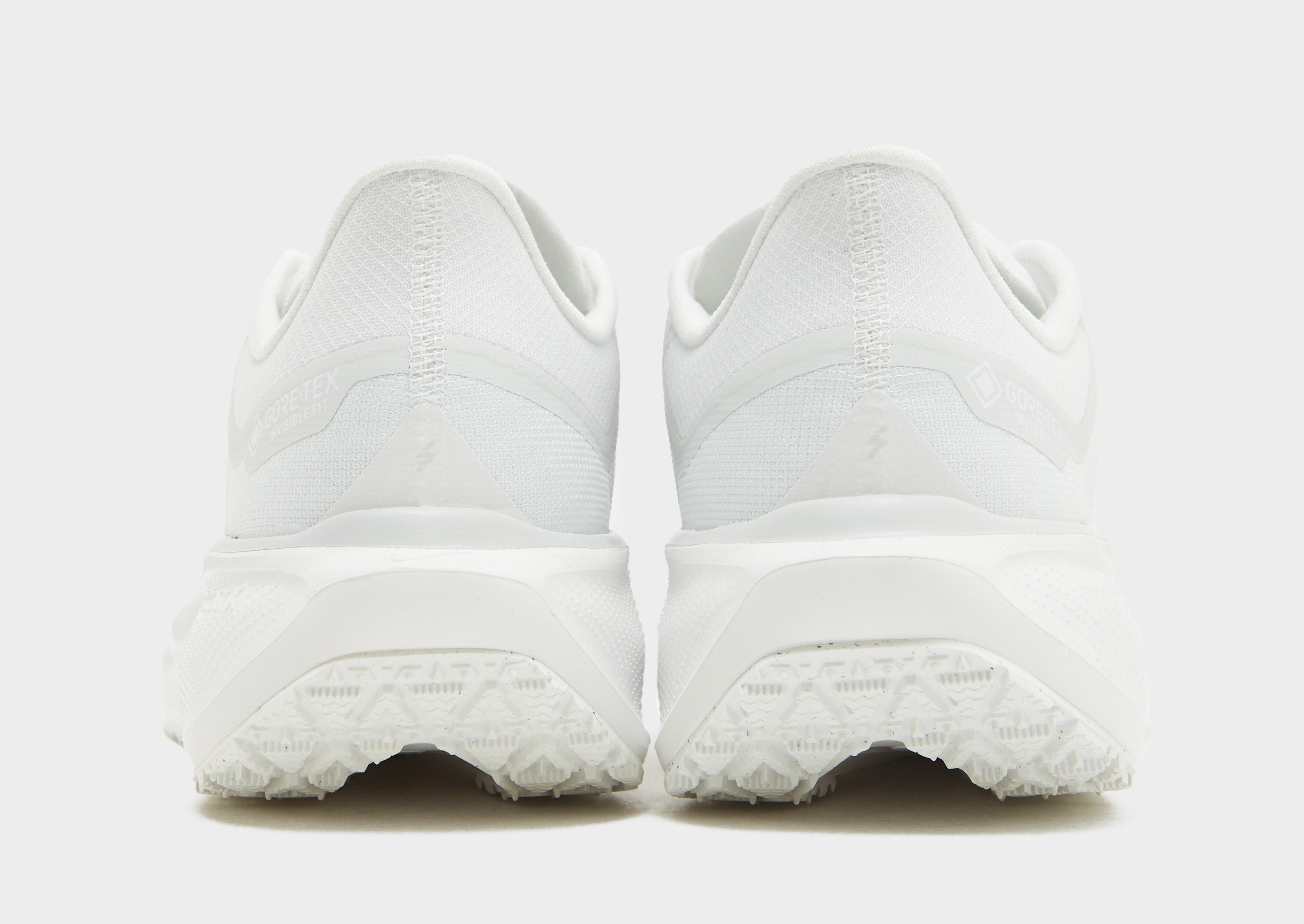 Nike Pegasus 41 GORE-TEX Homme