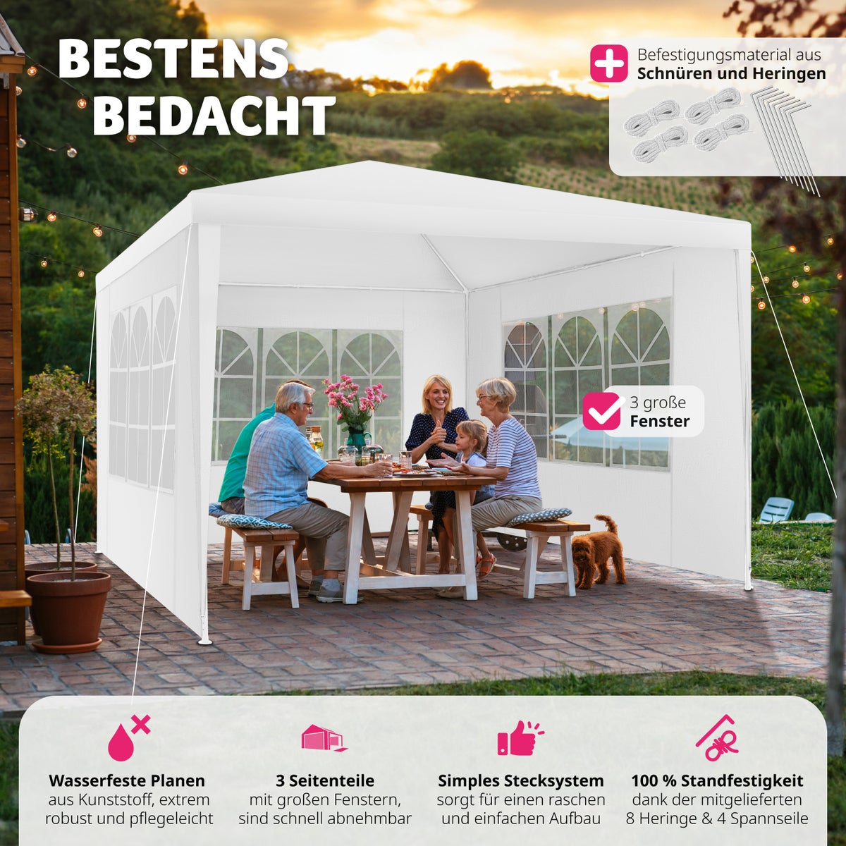 tectake Baraban 3 x 3 m paviljoen inclusief scheerlijnen en haringen
