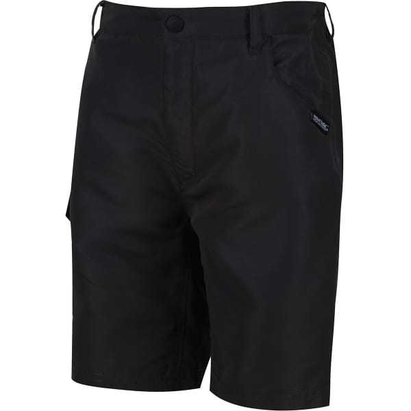 Short randonnée REGATTA SORCER SHORTS II ASH