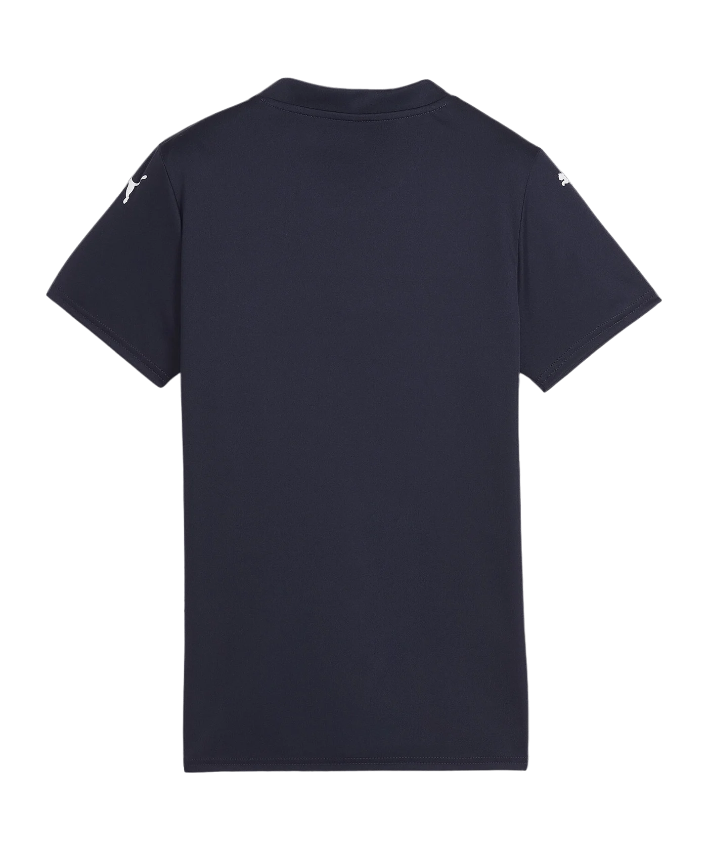 PUMA teamGLORY Trikot Damen Blau Weiss F06