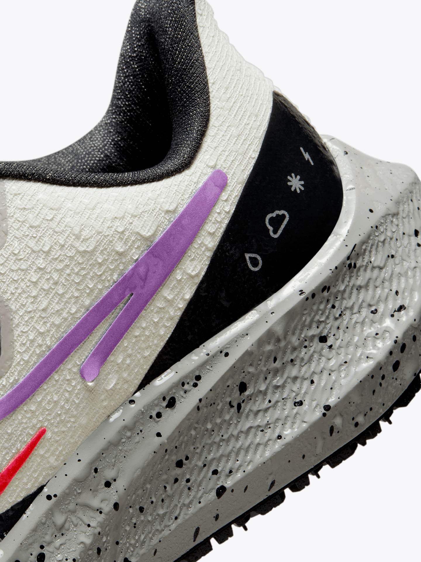 Air Zoom Pegasus 39 Shield